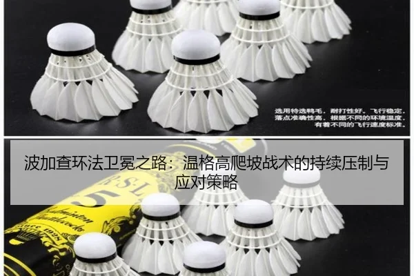 bo-jia-cha-huan-fa-wei-mian-zhi-lu-wen-ge-gao-pa-po-zhan-shu-de-chi-xu-ya-zhi-yu-ying-dui-ce-lve-2-897.jpg