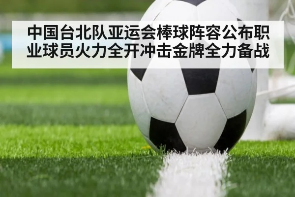 中国台北队亚运会棒球阵容公布职业球员火力全开冲击金牌全力备战
